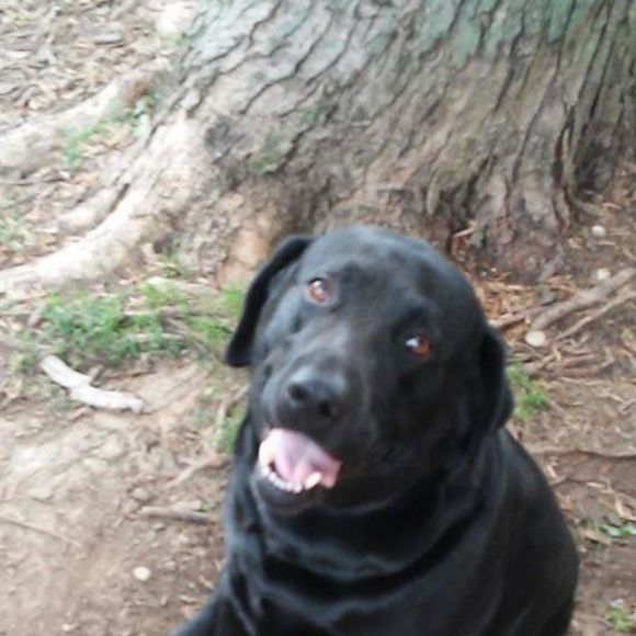 Meet your Posher, Aaron - Picture 1 of 1